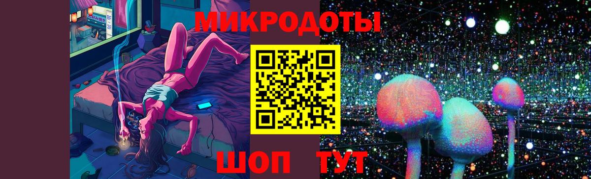 Галлюциногенные грибы Psilocybe Урус-Мартан