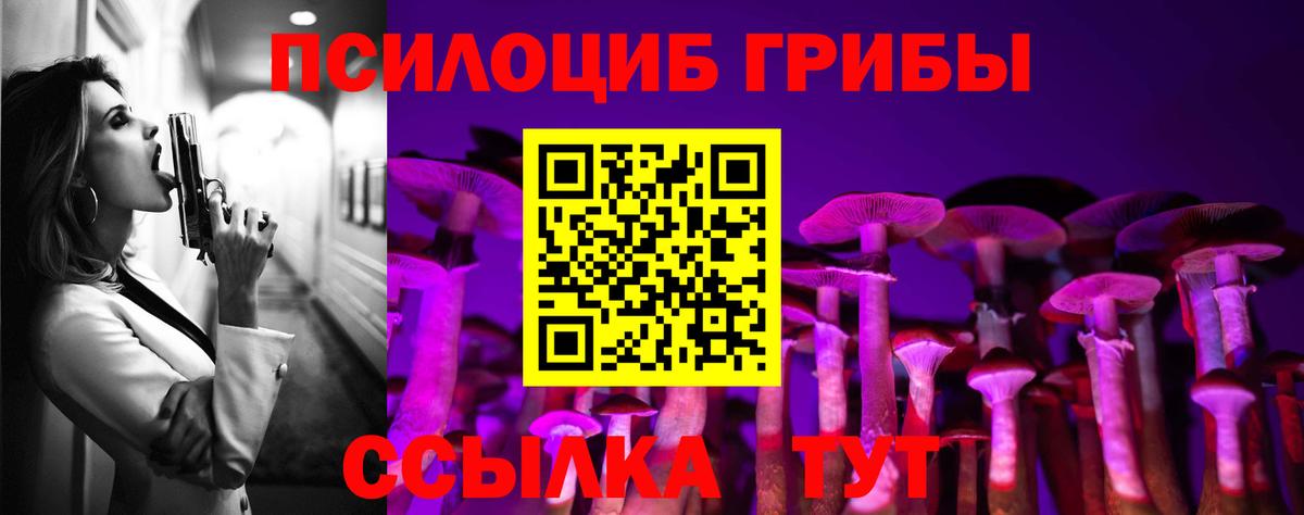 Галлюциногенные грибы Psilocybine cubensis  Вход с VPN  Урус-Мартан 