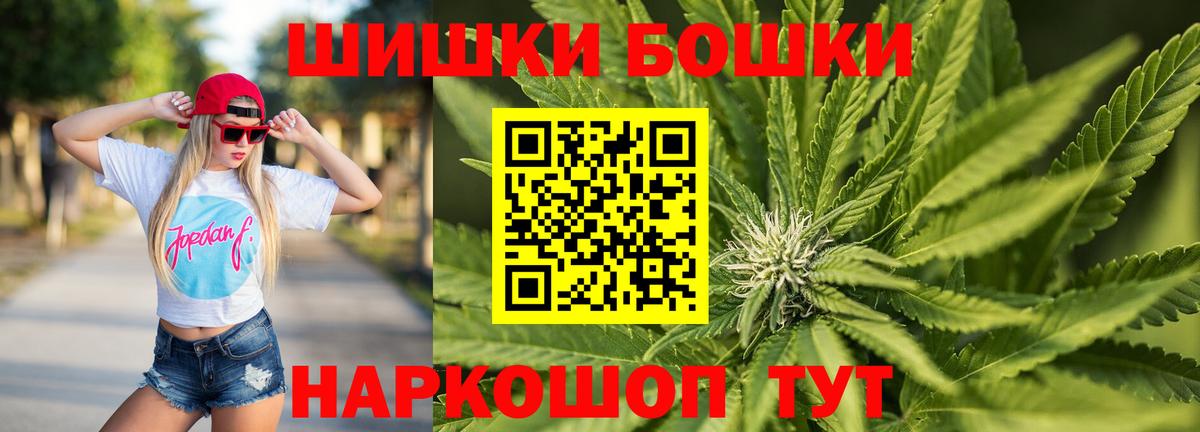 Конопля сатива Урус-Мартан